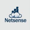 netsense_business_solutions_pte_ltd_logo